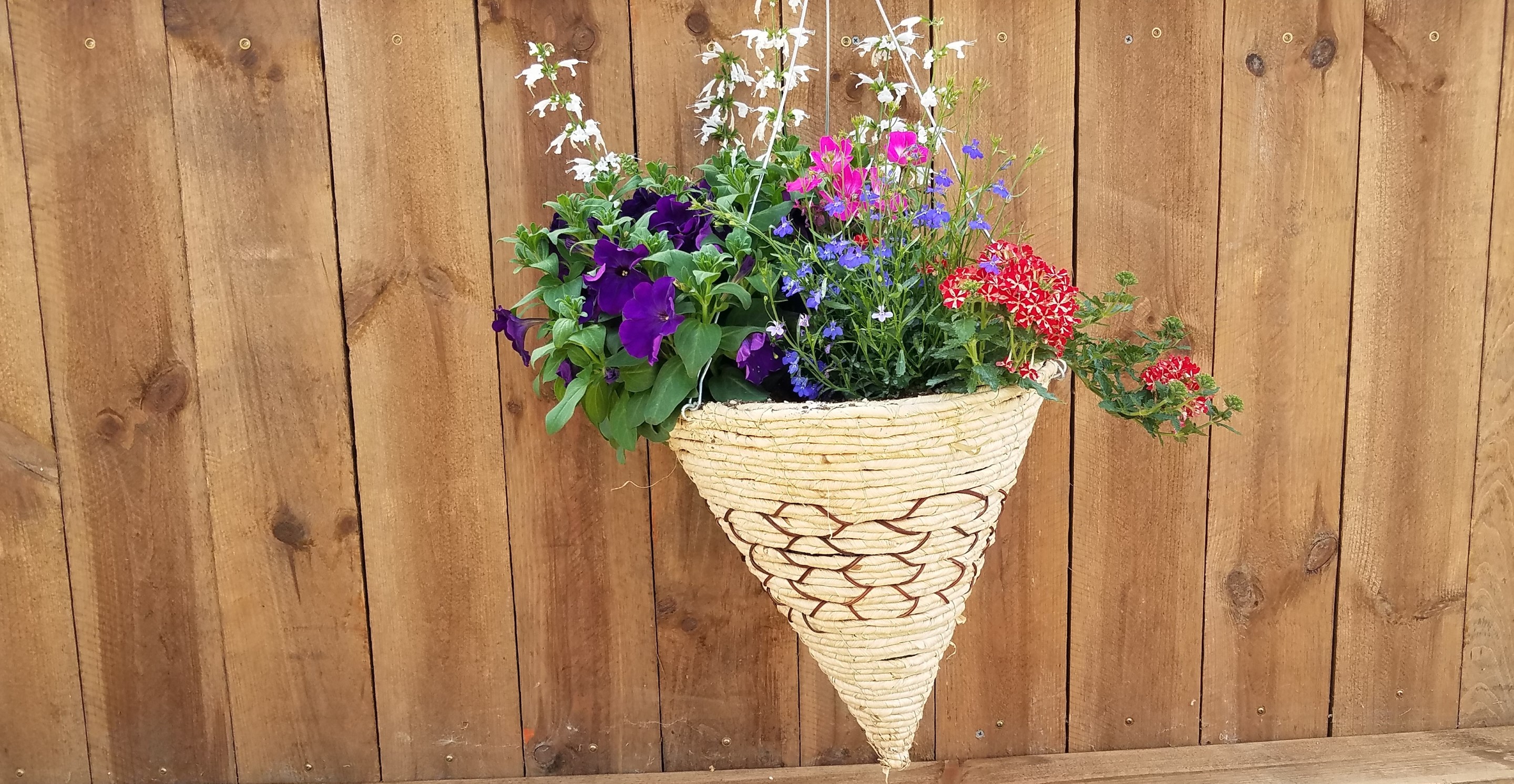 Cone flower baskets, Garden Center Hartland, Howell, Brighton, Mi.