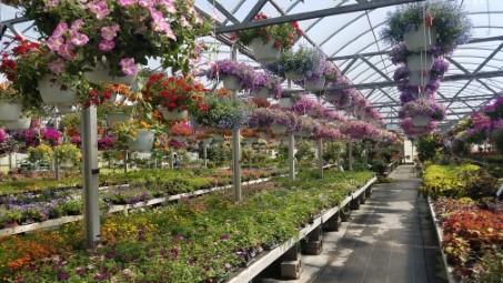 Penrose greenhouse and Garden Center