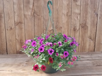 12 inch Hanging Flower Baskets