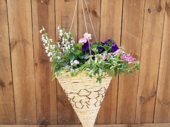 Hanging Cone Flower Baskets