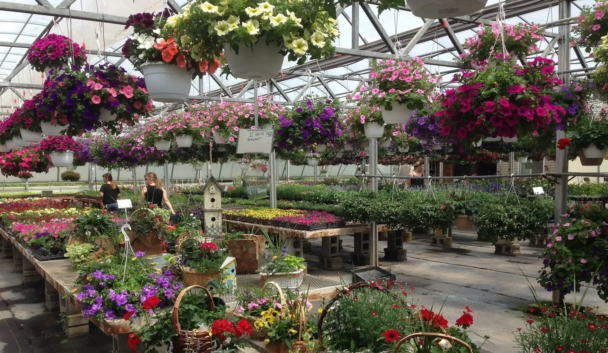 Penrose Greenhouse and Garden Center Banner