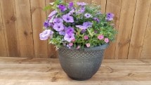 16 inch Planter
